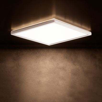LED laevalgusti AZPO LED/22W/230V 3000/4000/6000K 42x42 cm IP54 valge