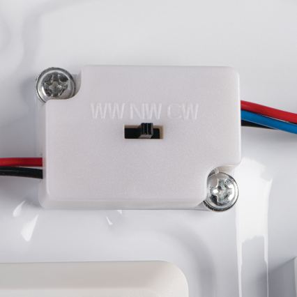 LED vannitoa laelamp CORSO LED/24W/230V 3000/4000/6500K läbimõõt 38 cm IP44
