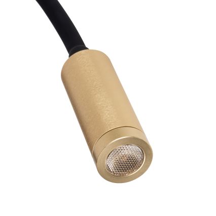 Painduv LED-laualamp TONIL LED/3,3W/230V must/kuldne