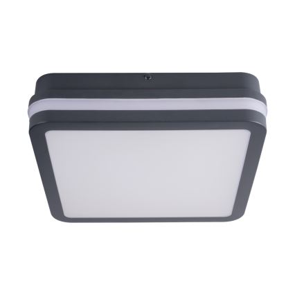 Kanlux 33343 - LED Välivalgusti BENO LED/24W/230V 4000K IP54 antratsiit