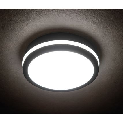 Kanlux 33348- LED Väli laevalgusti BENO LED/18W/230V 4000K antratsiit IP54