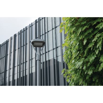 LED Tänavalamp PARCOLI LED/30/40/50W/230V 3000/4000/6500K IP66 hall