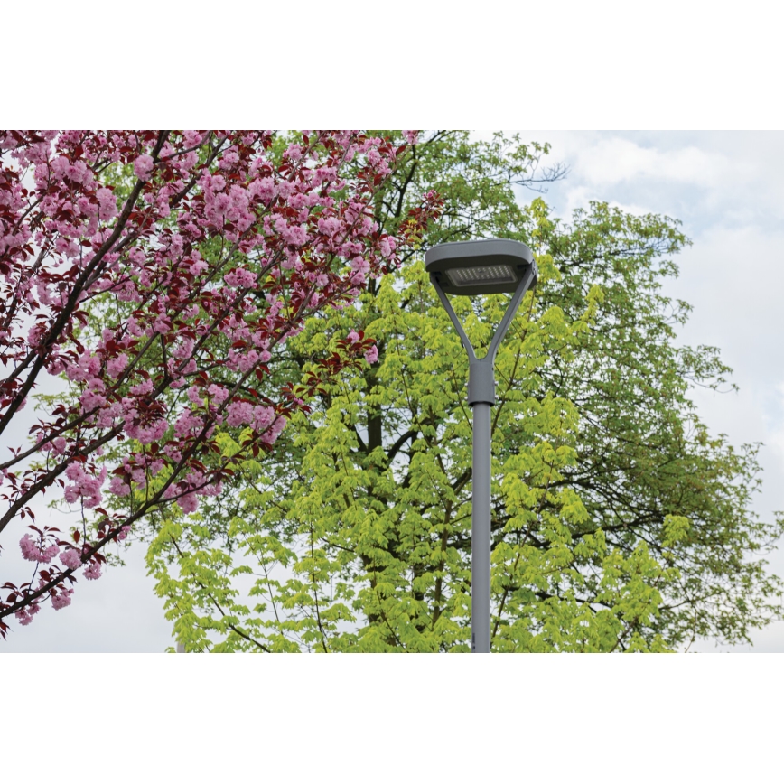 LED Tänavalamp PARCOLI LED/30/40/50W/230V 3000/4000/6500K IP66 hall