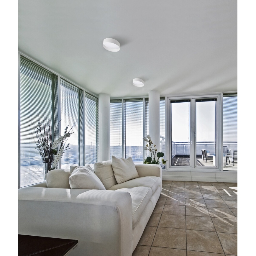 LED Laevalgusti RIFA LED/17,5W/230V 4000K valge
