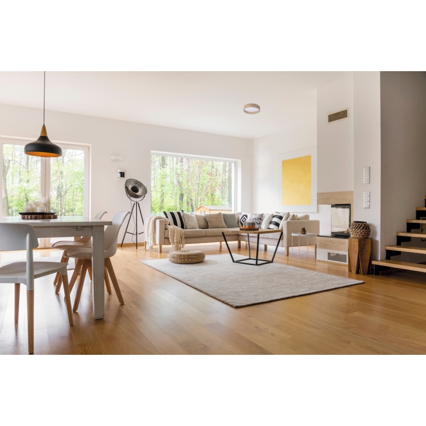 LED Laevalgusti RIFA LED/17,5W/230V 3000K pruun