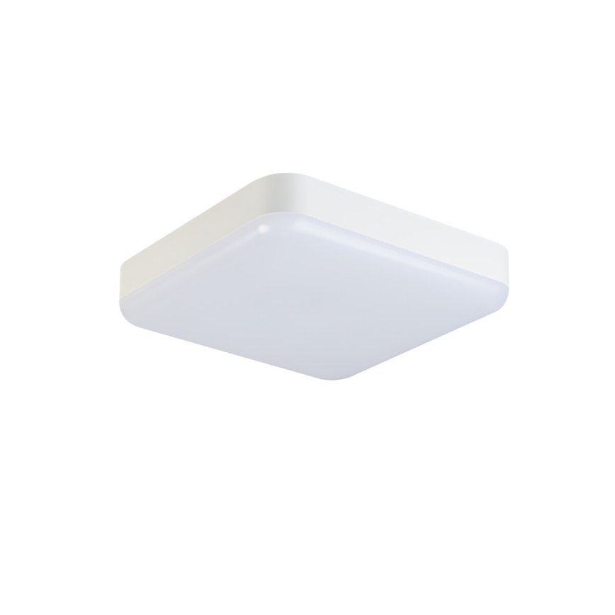 LED Tööstuslik laevalgusti IPER LED/26W/230V IK10 IP65 kandiline valge