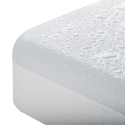 LED Tööstuslik laevalgusti IPER LED/26W/230V IK10 IP65 kandiline valge