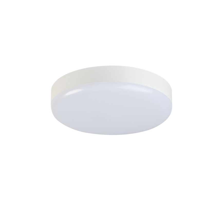 LED Tööstuslik laevalgusti liikumisanduriga IPER LED/26W/230V IK10 IP65 ümmargune valge