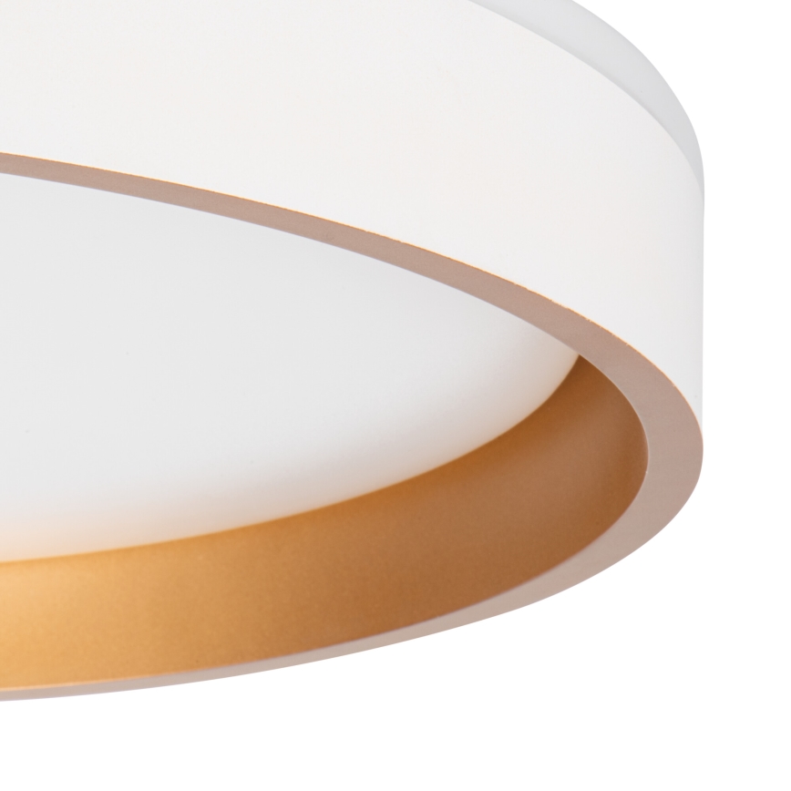 LED Laevalgusti SOLN LED/17,5W/230V d. 38 cm valge/kuldne