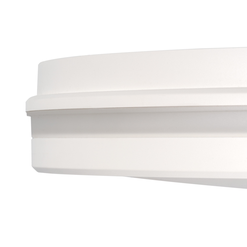 LEd Väli laevalgusti BENO ECO LED/12W/230V 3000/4000/6500K d. 20 cm IP65 valge