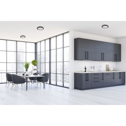 LEd Väli laevalgusti BENO ECO LED/12W/230V 3000/4000/6500K d. 20 cm IP65 must