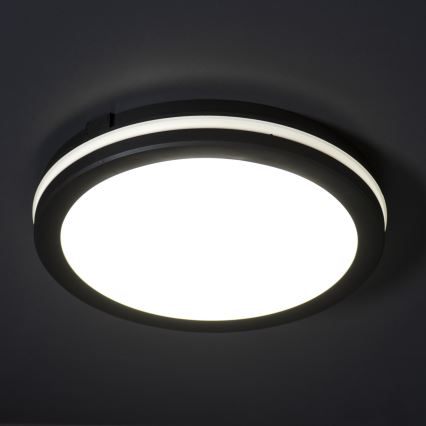 LEd Väli laevalgusti BENO ECO LED/12W/230V 3000/4000/6500K d. 20 cm IP65 must