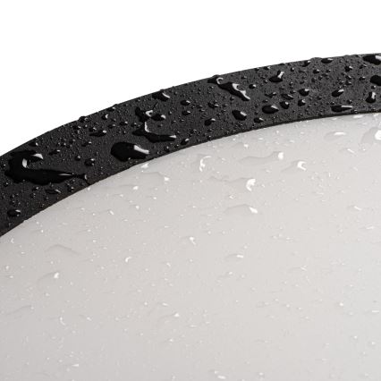 LEd Väli laevalgusti BENO ECO LED/12W/230V 3000/4000/6500K d. 20 cm IP65 must