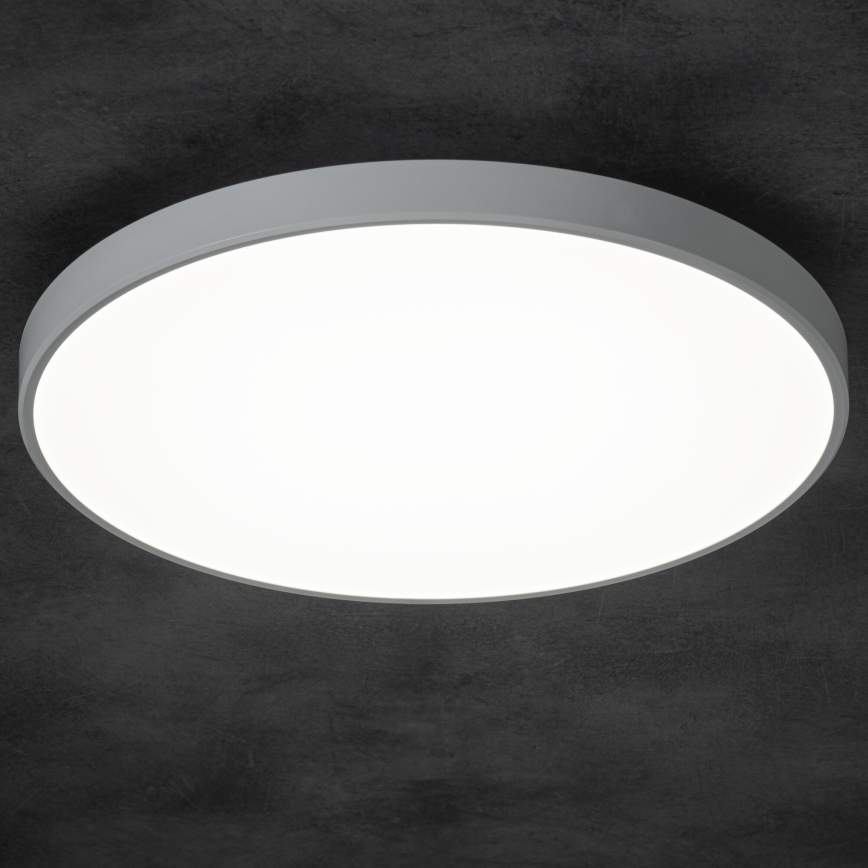 LED Hämardatav laevalgusti PLAFON LED/20W/230V 3000-6500K Wi-Fi valge