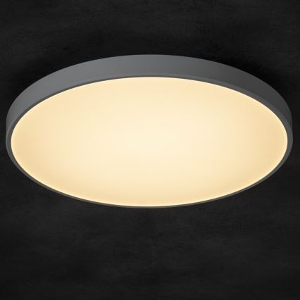 LED Hämardatav laevalgusti PLAFON LED/20W/230V 3000-6500K Wi-Fi valge