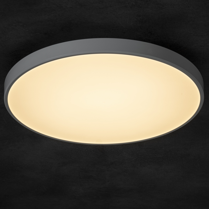 LED Hämardatav laevalgusti PLAFON LED/20W/230V 3000-6500K Wi-Fi valge