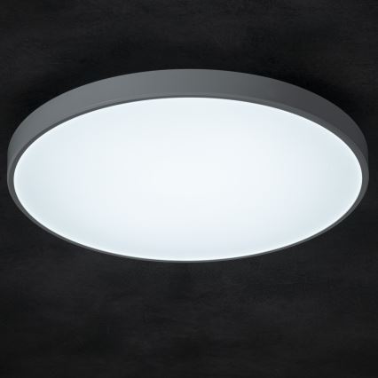 LED Hämardatav laevalgusti PLAFON LED/20W/230V 3000-6500K Wi-Fi valge