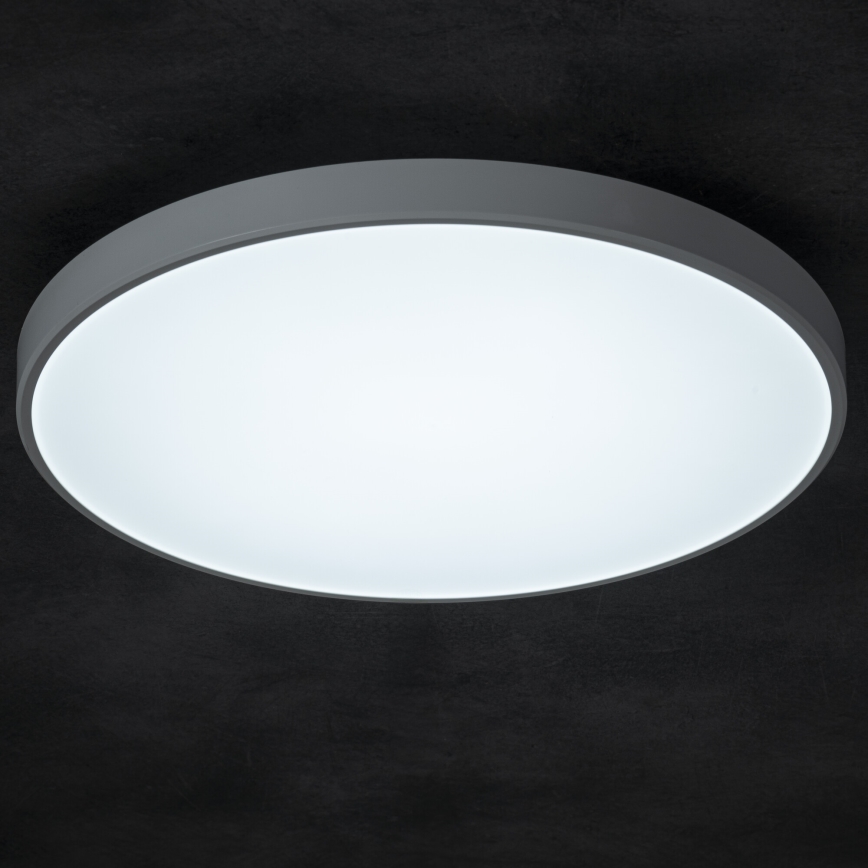 LED Hämardatav laevalgusti PLAFON LED/20W/230V 3000-6500K Wi-Fi valge