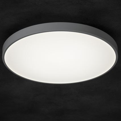 LED Hämardatav laevalgusti PLAFON LED/20W/230V 3000-6500K Wi-Fi valge