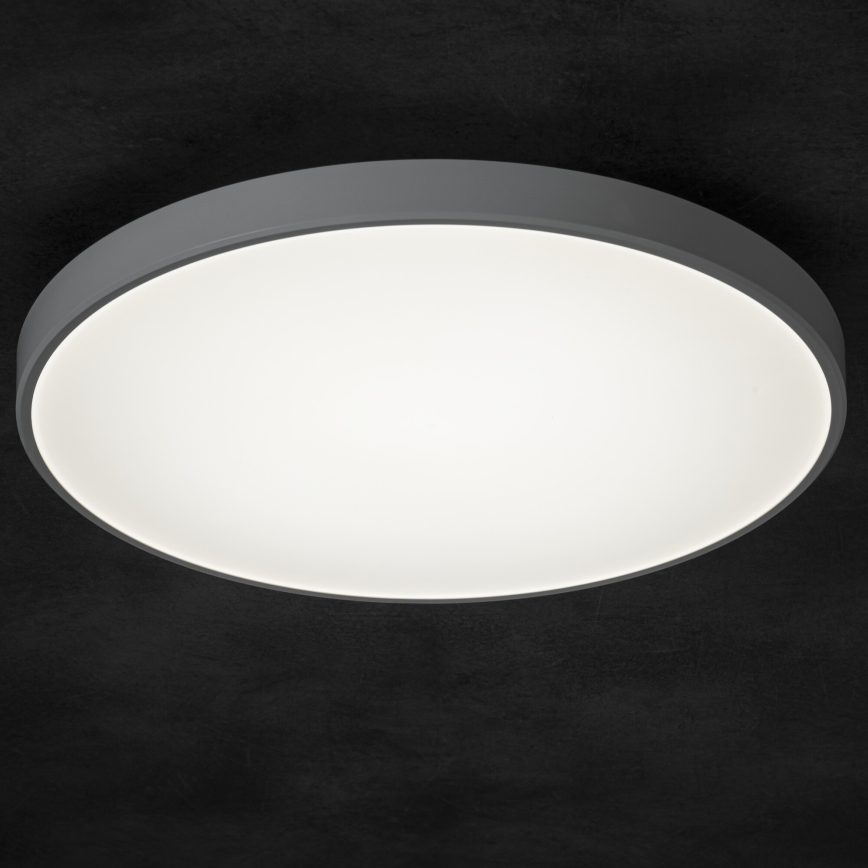 LED Hämardatav laevalgusti PLAFON LED/20W/230V 3000-6500K Wi-Fi valge