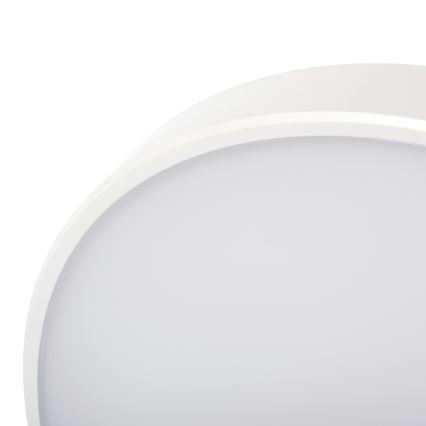 LED Hämardatav laevalgusti PLAFON LED/20W/230V 3000-6500K Wi-Fi valge
