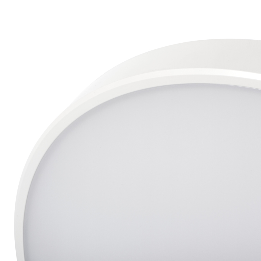 LED Hämardatav laevalgusti PLAFON LED/20W/230V 3000-6500K Wi-Fi valge