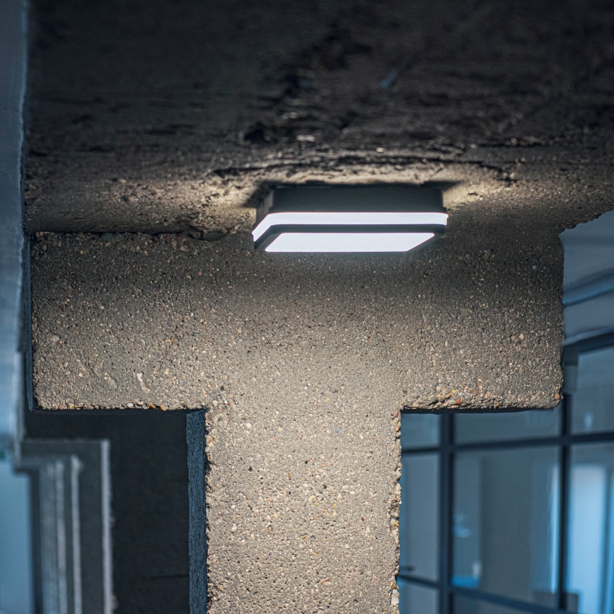 LEd Väli laevalgusti liikumisanduriga BENO LED/24/30W/230V 3000/3500/4000K IP65 antratsiit kandiline