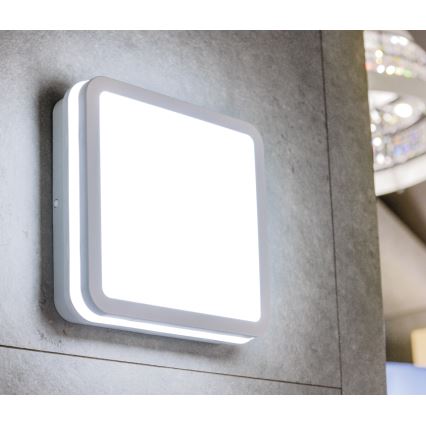 LEd Väli laevalgusti liikumisanduriga BENO LED/24/30W/230V 3000/3500/4000K IP65 valge kandiline