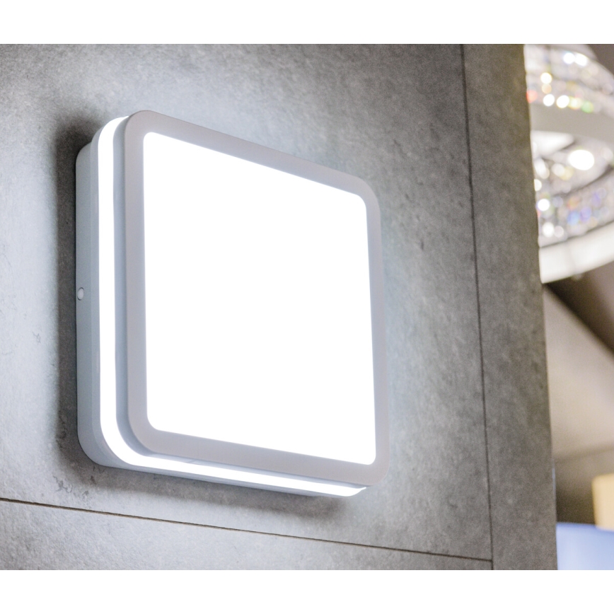 LEd Väli laevalgusti liikumisanduriga BENO LED/24/30W/230V 3000/3500/4000K IP65 valge kandiline