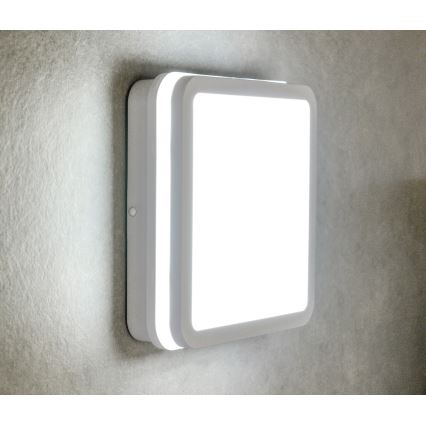 LEd Väli laevalgusti liikumisanduriga BENO LED/24/30W/230V 3000/3500/4000K IP65 valge kandiline
