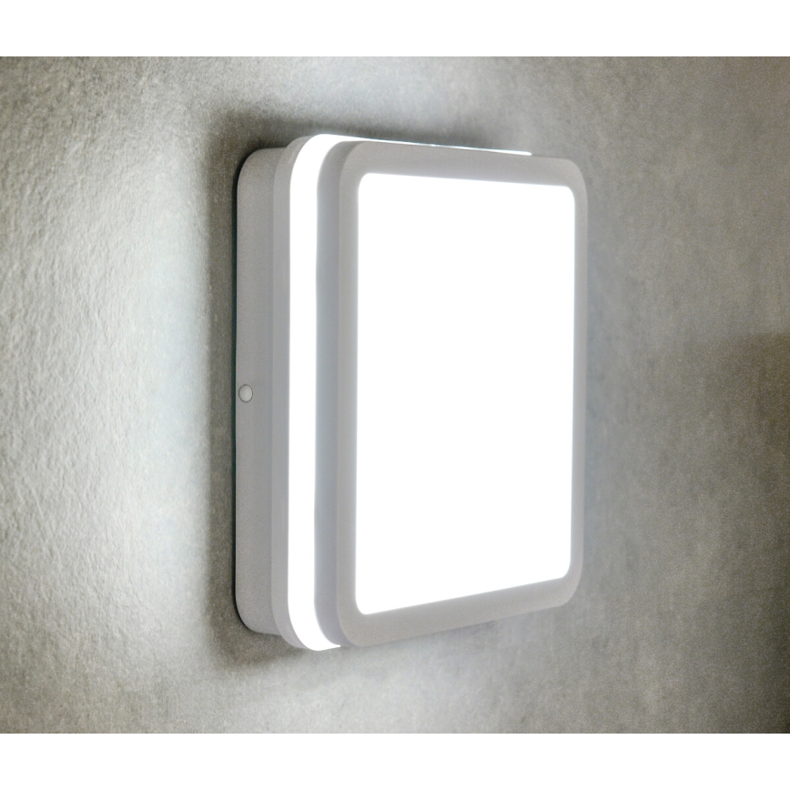 LEd Väli laevalgusti liikumisanduriga BENO LED/24/30W/230V 3000/3500/4000K IP65 valge kandiline