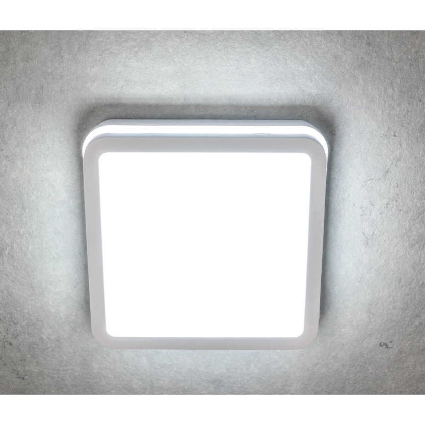LEd Väli laevalgusti liikumisanduriga BENO LED/24/30W/230V 3000/3500/4000K IP65 valge kandiline