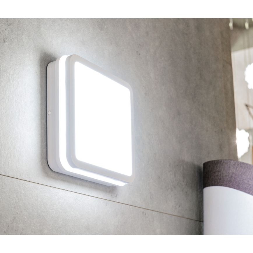 LEd Väli laevalgusti liikumisanduriga BENO LED/24/30W/230V 3000/3500/4000K IP65 valge kandiline
