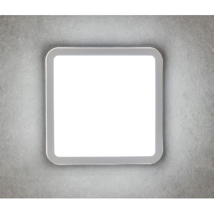 LED Väli laevalgusti BENO LED/24/30W/230V 3000/3500/4000K IP65 valge kandiline