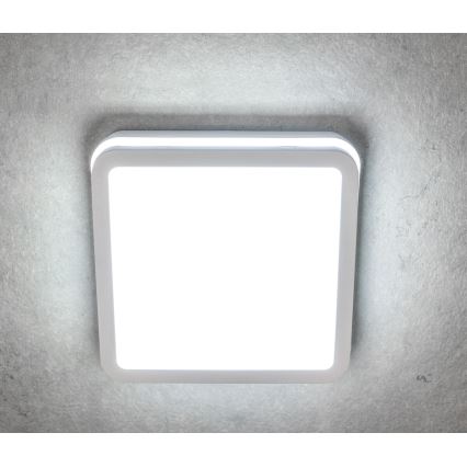 LED Väli laevalgusti BENO LED/24/30W/230V 3000/3500/4000K IP65 valge kandiline