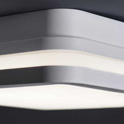 LED Väli laevalgusti BENO LED/24/30W/230V 3000/3500/4000K IP65 valge kandiline