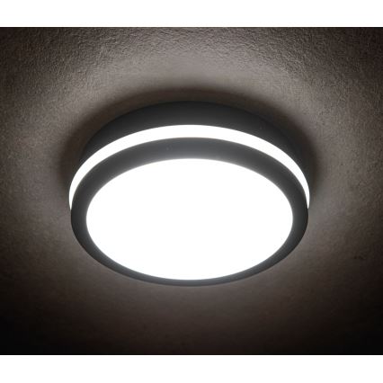 LED Väli laevalgusti BENO LED/24/30W/230V 3000/3500/4000K IP65 antratsiit ümmargune