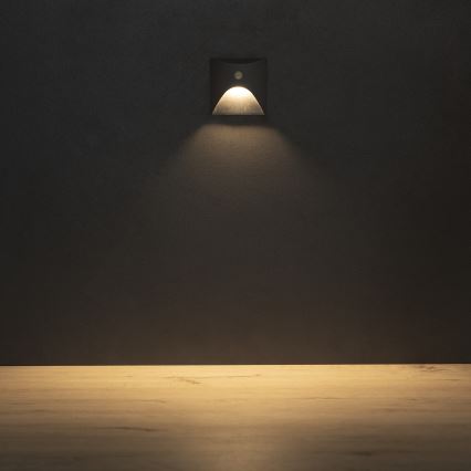 LED trepi valgusti liikumis- ja hämarusanduriga EXIN LED/2,5W/230V 3000K IP65 antratsiit kandiline