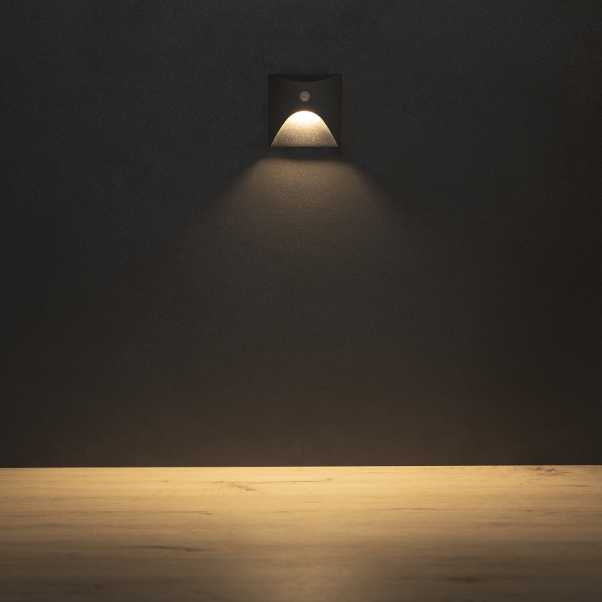 LED trepi valgusti liikumis- ja hämarusanduriga EXIN LED/2,5W/230V 3000K IP65 antratsiit kandiline