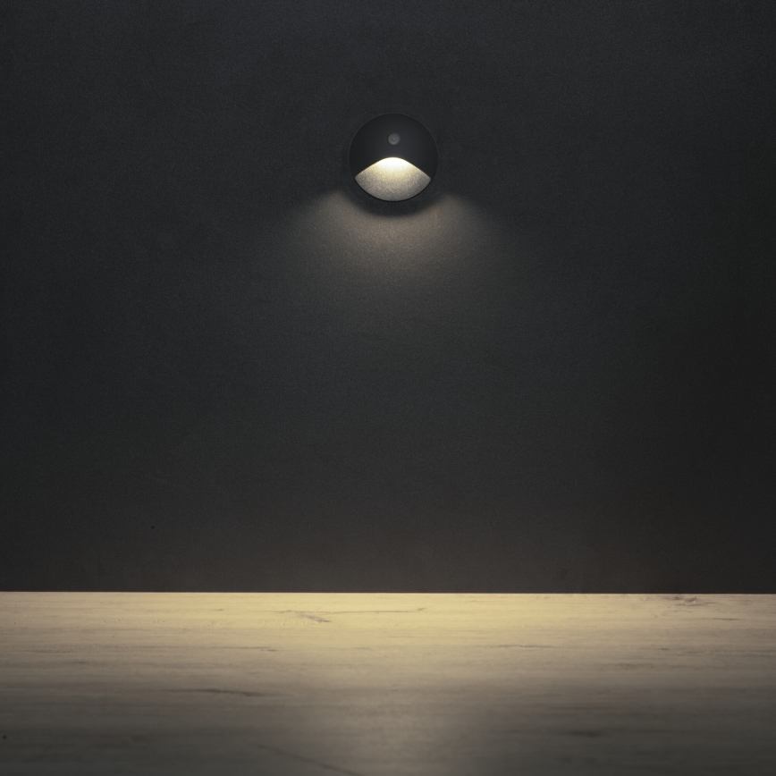 LED trepi valgusti liikumis- ja hämarussensoriga EXIN LED/2,5W/230V 4000K IP65 antratsiit ümmargune