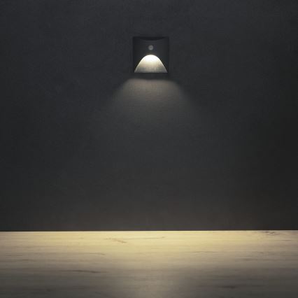 LED trepivalgusti liikumis- ja hämarusanduriga EXIN LED/2,5W/230V 4000K IP65 antratsiitne ruudukujuline