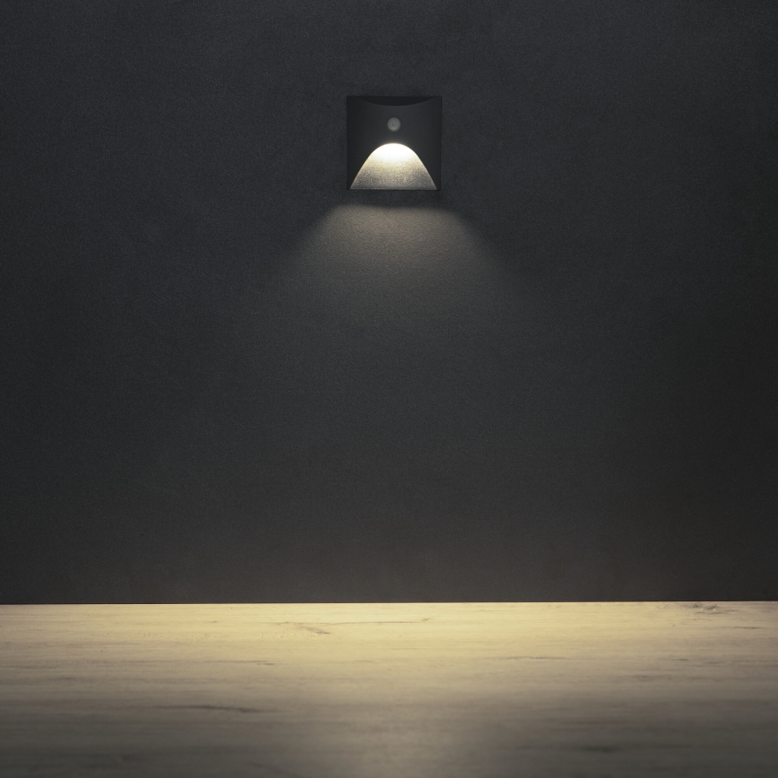 LED trepivalgusti liikumis- ja hämarusanduriga EXIN LED/2,5W/230V 4000K IP65 antratsiitne ruudukujuline