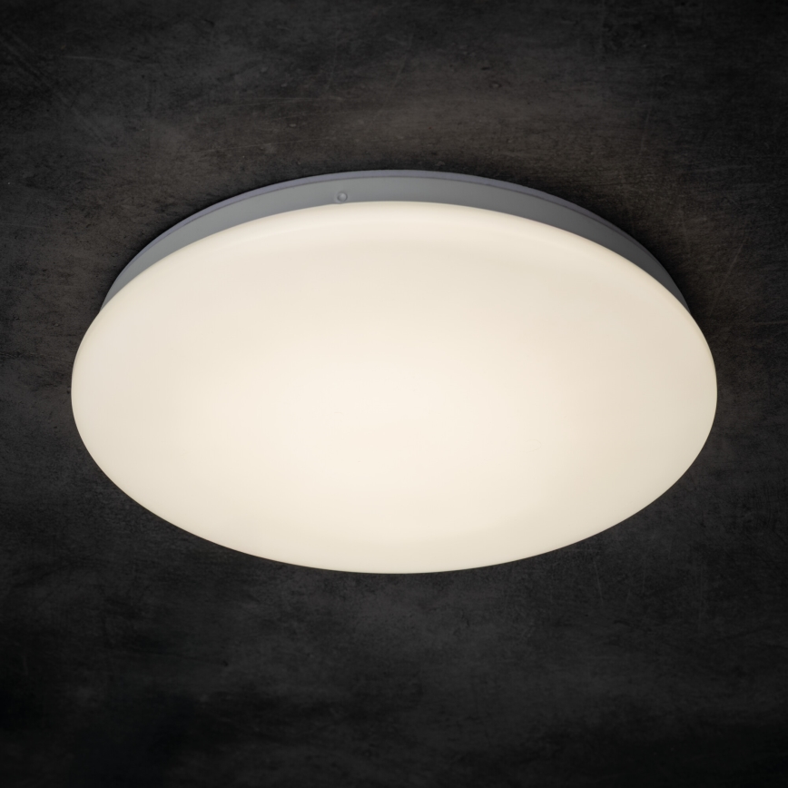 ENELO LED vannitoa laelamp, 10W, 230V, läbimõõt 24 cm, IP44