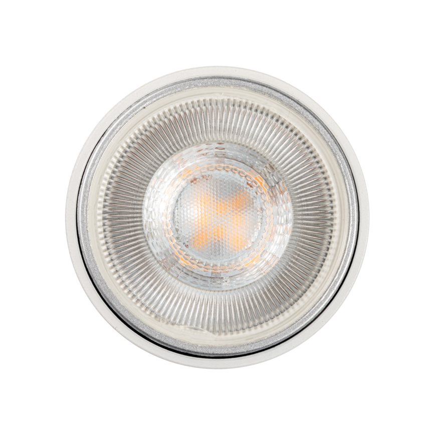 Spottvalgusti liistude süsteemis ALTEAR 2xGU10/10W/230V 1m valge