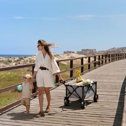 KINDERKRAFT - kokkupandav veokäru WAGON ROLLSTER, hall