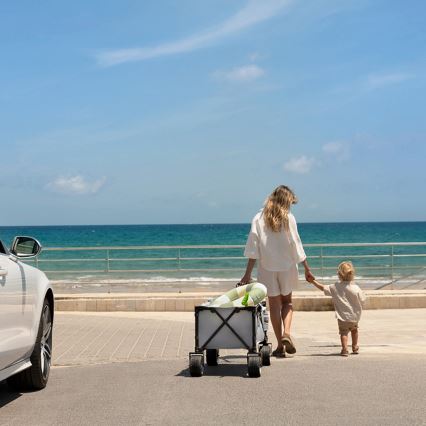 KINDERKRAFT - kokkupandav veokäru WAGON ROLLSTER, hall