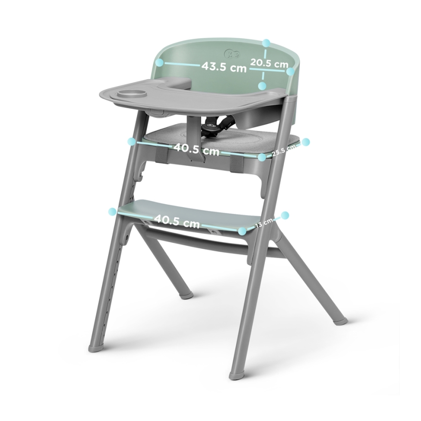 KINDERKRAFT SELECT - Laste söögitool 3-ühes LIVY Premium Aster roosa + lamamistool CALMEE