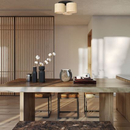 Kinnitatav lühter RATTAN 3xE27/60W/230V punutud