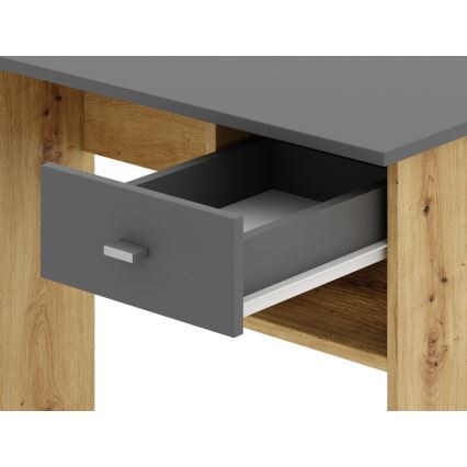 Kirjutuslaud RICO tamm artisan/hall