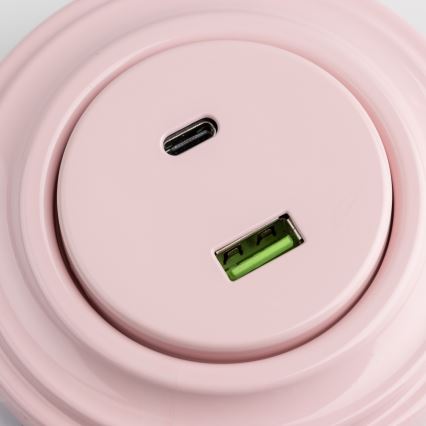 Kliklap - Retro USB-A ja USB-C pistikupesa raamiga vanaroosa